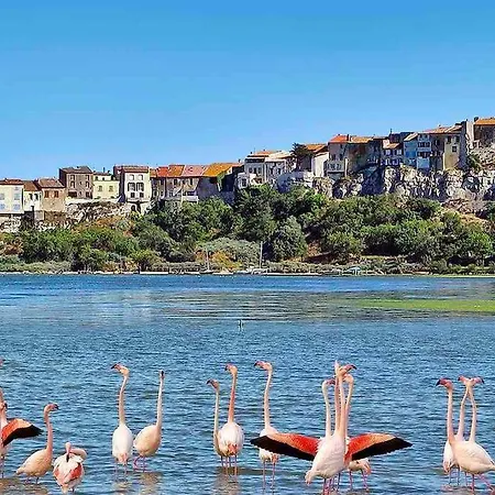 Maison D'aude Proche Etang باجيس